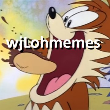 wjLohmemes