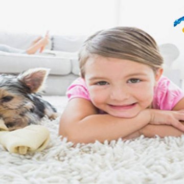 Carpetcleaningbrisbanenorthside