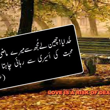 A Qaiser