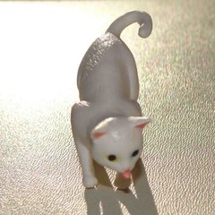 テレビの森