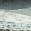 L'Herbe neige
