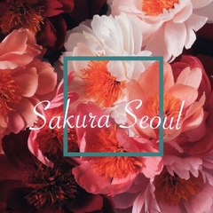 sakura seoul