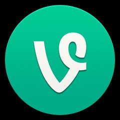 The Top Vines