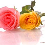 BHOJPURI DESI MASALA