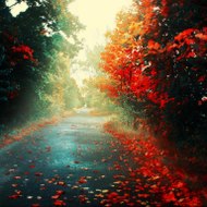 FASHION AND SKIN CARE and drama