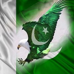 Pakistani Politics