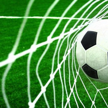 Goals & Highlights