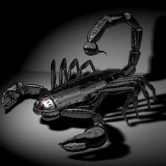 SKORPION