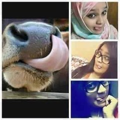 Farazahmed542