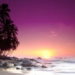 Ritmo y Naturaleza