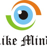 Like Mindz