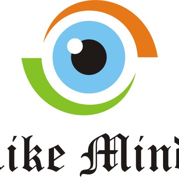 Like Mindz