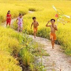 Bangla bd
