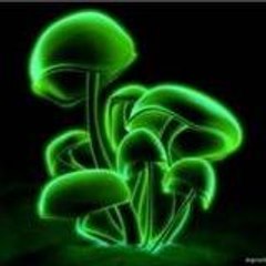 GoDwEEd_SliM