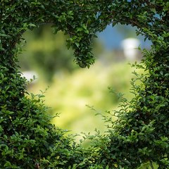 Positive Thinking ASMR