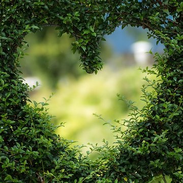 Positive Thinking ASMR