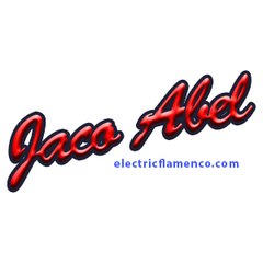 Electric Flamenco School