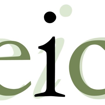 EIC Video