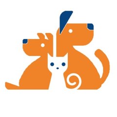 Two Dogs and a Cat