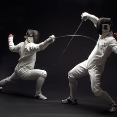 Fencing x3