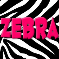 Zebra Nursery Rhymes For Children And Kids Songs