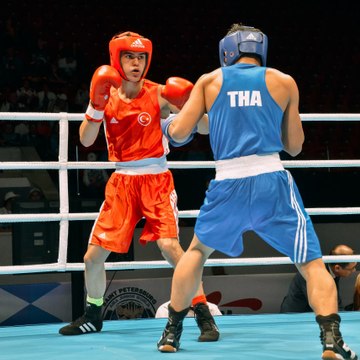 Boxing Glove x4