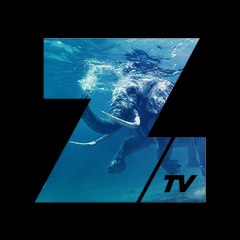 ZoominTV Süße Tiere & Wilde Biester (DE)