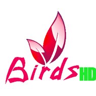 Birds Entertainment