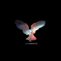 Les Chouettes du BDAS