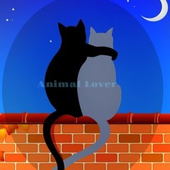 Animal Lover