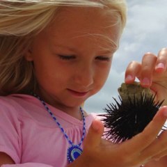 Nela mała reporterka