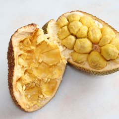 Cempedak