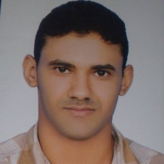 eerty976