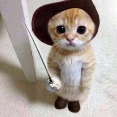Amazing and funny videos
