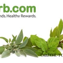 اي هيرب بالعربي