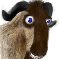 GNU PAZZO