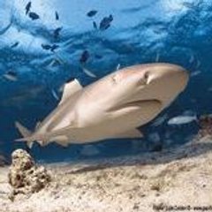 Jérôme & Christelle