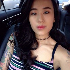 Brynnsaschaefer