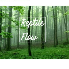 Reptile Flow