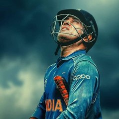 Cricket Videos