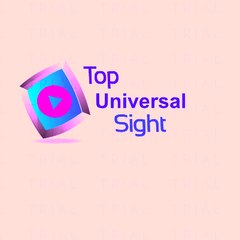 Top universal sight