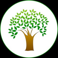 Irvinecatreeremoval