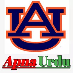 Apne Urdu