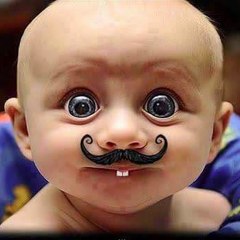 funnyvideos