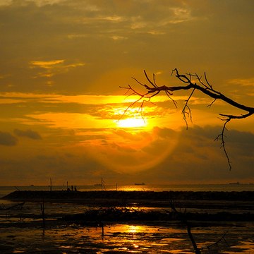 Senja