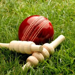 Cricket Fans