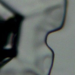 FerintoshFarmsPhotography