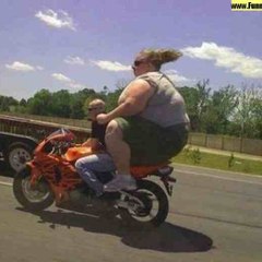 Funny Videos
