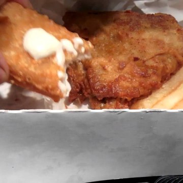 JunkFoodTasterDotCom