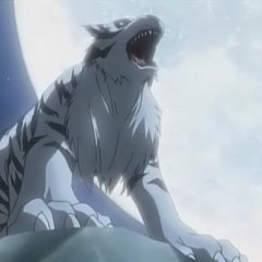 WHITE TIGERS X NETWORK